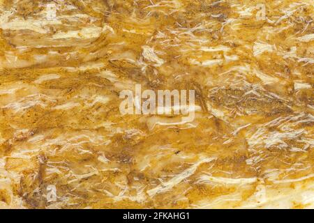 Texture closeup di Dong quai essiccato, Dang GUI, noto come ginseng femminile, radice appiattita (Angelica sinensis) Foto Stock