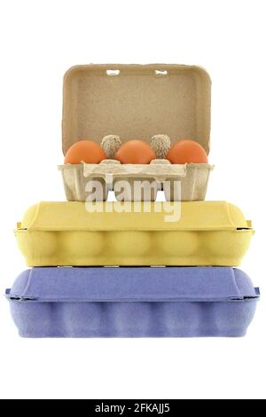 Confezioni di vassoio per uova in pasta di carta realizzate in carta riciclata diverse dimensioni e colori pieni di uova di pollo fresche isolate su bianco Foto Stock