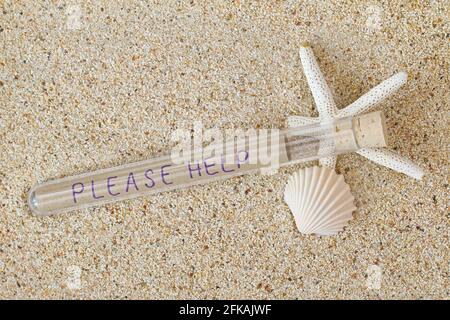 Messaggio in bottiglia con coperchio in sughero e scritte Si prega di aiutare all'interno su una spiaggia di sabbia con stelle bianche e seashell Foto Stock