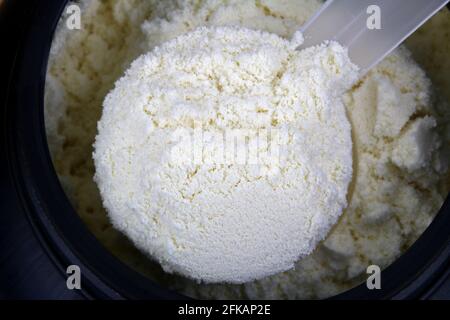 Una paletta di fine proteina di siero di latte isolato polvere pura in un contenitore Foto Stock