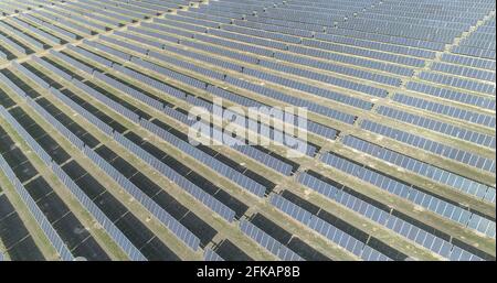 file di pannelli solari che generano elettricità Foto Stock