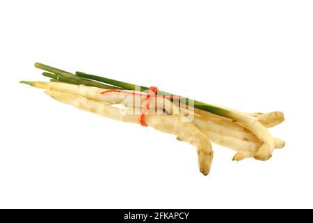 Radice di rizoma di zenzero fresca e giovane isolata su un bianco sfondo Foto Stock