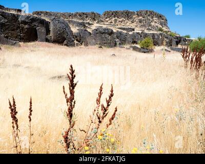 Rocce di basalto al Columbia Hills state Park - WA, USA Foto Stock