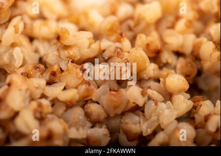 Porridge di grano saraceno bollito. Piatti tradizionali della cucina russa. Vista dall'alto della texture del grano saraceno. Foto Stock