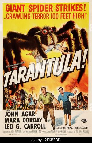 Tarantula! È un film di fantascienza gigante americano del 1955 Foto Stock