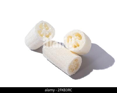 Loofah naturale zero rifiuti pianta spugna per lavaggio e lavaggio. Isolato su sfondo bianco Foto Stock