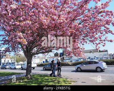 Sheerness, Kent, Regno Unito. 30 aprile 2021. Regno Unito Meteo: Una mattina soleggiato Sheerness, Kent. Credit: James Bell/Alamy Live News Foto Stock
