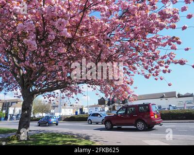 Sheerness, Kent, Regno Unito. 30 aprile 2021. Regno Unito Meteo: Una mattina soleggiato Sheerness, Kent. Credit: James Bell/Alamy Live News Foto Stock