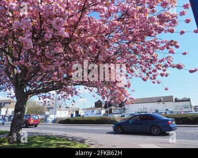 Sheerness, Kent, Regno Unito. 30 aprile 2021. Regno Unito Meteo: Una mattina soleggiato Sheerness, Kent. Credit: James Bell/Alamy Live News Foto Stock