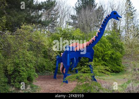 Un Brontosaurus scultura al Parco Teessaurus,Middlesbrough,l'Inghilterra,UK Foto Stock