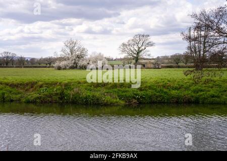 Passeggiata lungo la strada dell'Ouse in primavera in un pomeriggio soleggiato Foto Stock