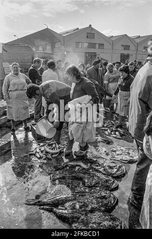 SPAGNA - Galizia - 1970. Il mercato del pesce nel porto DI A Coruña, Galizia, Spagna nord-occidentale. Foto Copyright: Peter Eastland. Foto Stock