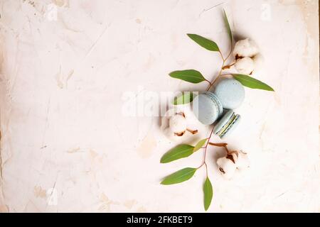 Elegante composizione di amaretti francesi eucalipto e bolo di cotone su tavola bianca in stucco testurizzata. Buon compleanno di San Valentino presente di primavera. Copia Foto Stock