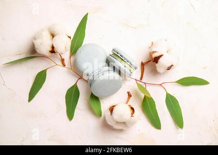 Elegante composizione di amaretti francesi eucalipto e bolo di cotone su tavola bianca in stucco testurizzata. Buon compleanno di San Valentino presente di primavera. Copia Foto Stock