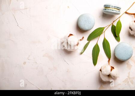 Elegante composizione di amaretti francesi eucalipto e bolo di cotone su tavola bianca in stucco testurizzata. Buon compleanno di San Valentino presente di primavera. Copia Foto Stock