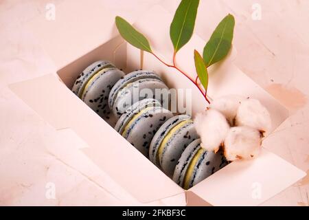 Elegante composizione di amaretti francesi in scatola, eucalipto e bolo di cotone su tavola in stucco rosa pallido. Buon compleanno San Valentino primavera p Foto Stock