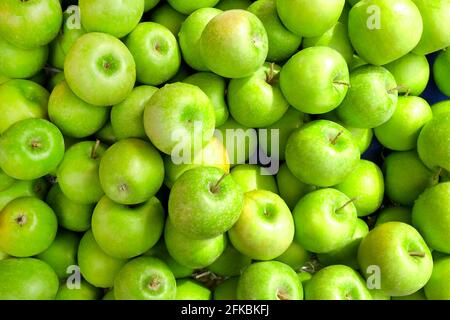 Un mazzo di mele granny smith biologiche croccanti appena raccolte presso il banco del mercato agricolo locale. Concetto di cibo pulito. Dieta vegana foo Foto Stock