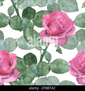 Acquerello motivo senza giunture di rose rosa 3 Foto Stock