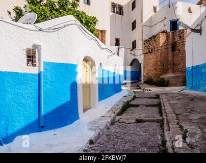 Rue Bazou, strada blu in Kasbah del Udayas, Rabat, Rabat-sale-Kenitra Regione, Marocco, Africa del Nord, Africa Foto Stock
