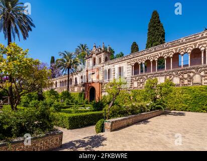 Giardini a Reales Alcazares de Sevilla (Alcazar di Siviglia), Patrimonio dell'Umanità dell'UNESCO, Siviglia, Andalusia, Spagna, Europa Foto Stock