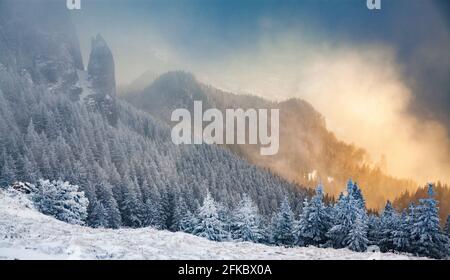 Massiccio di Ceahlau in inverno, Carpazi Orientali, Contea di Neamt, Moldavia, Romania, Europa Foto Stock