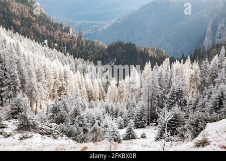 Massiccio di Ceahlau in inverno, Carpazi Orientali, Contea di Neamt, Moldavia, Romania, Europa Foto Stock