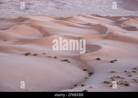 Dune di sabbia dettaglio prima dell'alba nel deserto Rub al Khali, Oman, Medio Oriente Foto Stock