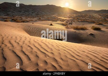 Dune di sabbia al tramonto nel deserto di Rub al Khali, Oman, Medio Oriente Foto Stock