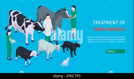 Trattamento di animali da fattoria banner web orizzontale con veterinari che attenzione all'illustrazione vettoriale isometrica degli animali domestici Illustrazione Vettoriale