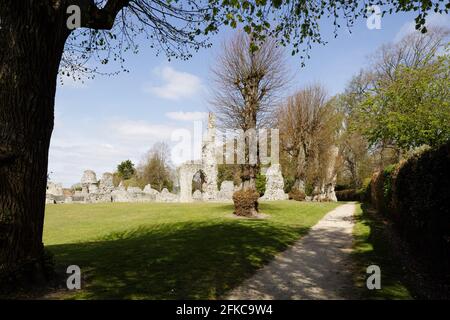 Il Priorato di nostra Signora di Thetford, rovine del monastero medievale Cluniac, fondata 12 ° secolo. Foto Stock