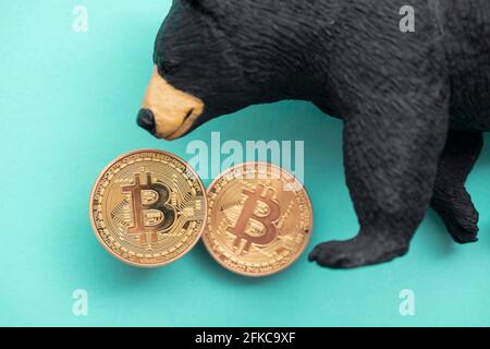 Moneta criptovaluta Bitcoin con un orso grizzly. Bitcoin bearish che commercia Foto Stock