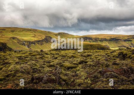 rocce ricoperte di muschio in islanda Foto Stock