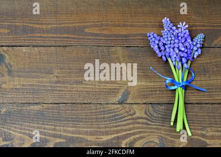 Madre giorno sfondo con bouquet di fiori di giacinto d'uva Foto Stock