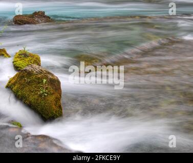 Moos ha coperto massi in un fiume Foto Stock