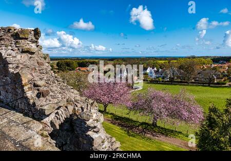 Vista dall'alto del villaggio e degli alberi di ciliegio presso il castello medievale di Dirleton, East Lothian, Scozia, Regno Unito Foto Stock