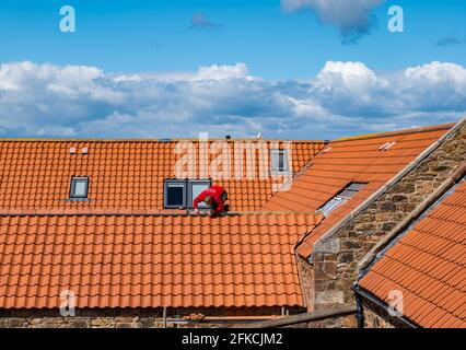 Operaio tetto posa di piastrelle rosse sul tetto di vecchia fattoria costruzione casa di ristrutturazione, East Lothian, Scozia, Regno Unito Foto Stock