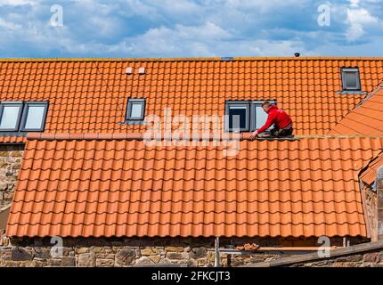 Operaio tetto posa di piastrelle rosse sul tetto di vecchia fattoria costruzione casa di ristrutturazione, East Lothian, Scozia, Regno Unito Foto Stock