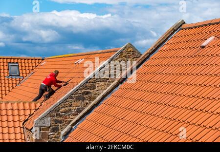 Operaio tetto posa di piastrelle rosse sul tetto di vecchia fattoria costruzione casa di ristrutturazione, East Lothian, Scozia, Regno Unito Foto Stock