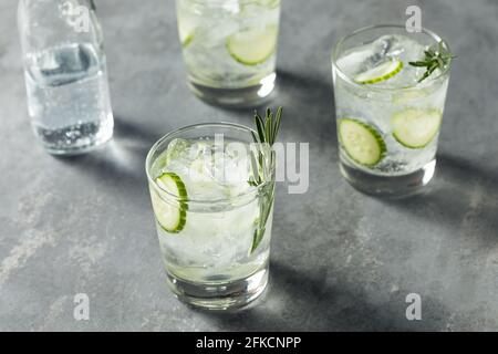 Rinfrescarsi boozy Rosemary Gin e Tonic con cetriolo Foto Stock