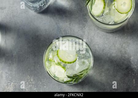 Rinfrescarsi boozy Rosemary Gin e Tonic con cetriolo Foto Stock