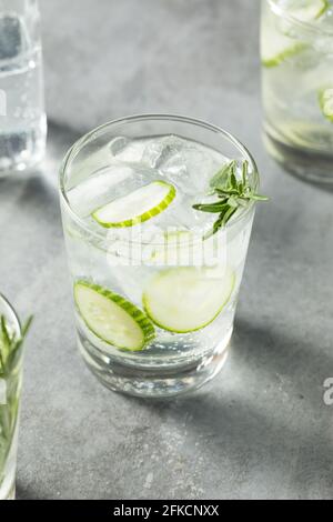 Rinfrescarsi boozy Rosemary Gin e Tonic con cetriolo Foto Stock