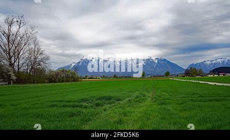 Mitterfelden Berg mit Schnee, aprile 2021 Foto Stock