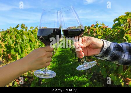 Primo piano su mani che tostano bicchieri di vino rosso al vigneto Foto Stock