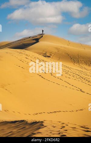 La dune du pyla con cielo blu, aquitania, Francia Foto Stock