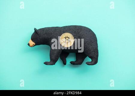 Moneta criptovaluta Bitcoin con un orso grizzly. Bitcoin bearish che commercia Foto Stock