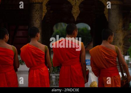 Luang Prabang, Laos - 6 luglio 2016: I monaci buddisti pregano di fronte al tempio di Xiengthong alla conclusione della cerimonia di premiazione delle elemosine del mattino presto Foto Stock