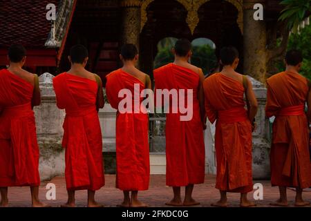 Luang Prabang, Laos - 6 luglio 2016: I monaci buddisti pregano di fronte al tempio di Xiengthong alla conclusione della cerimonia di premiazione delle elemosine del mattino presto Foto Stock