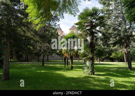 Chiesa vista attraverso alcuni grandi alberi dal vecchio fiume Turia. Valencia, Spagna Foto Stock