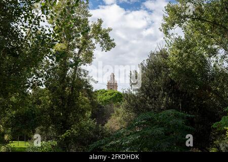 Edificio visto attraverso alcuni grandi alberi dal vecchio letto del fiume Turia. Valencia, Spagna Foto Stock