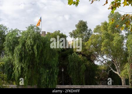 Vecchia torre della città vista attraverso alcuni grandi alberi dal vecchio letto del fiume Turia. Valencia, Spagna Foto Stock